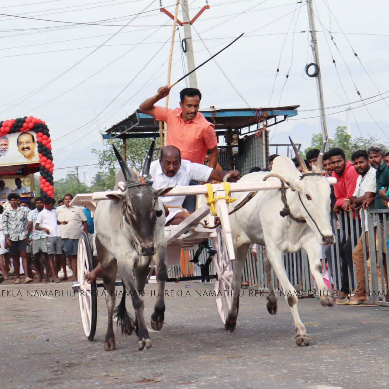 கோபாலபுரம் ரேக்ளா போட்டி